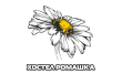 Хостел Ромашка