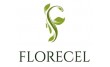 Стабилизированные растения Florecel