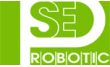 Seo-Robotic