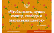 Цветы и Люди