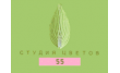 Студия цветов 55