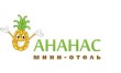 Отель Ананас