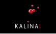 Kalina Bar