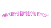 Лимузины большого города М