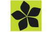 Salonokey