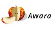 Awara Direct Search/ Awara Group